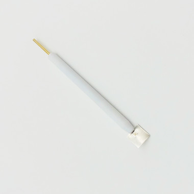 380-ECPS121-Platinum-electrode-101001-01