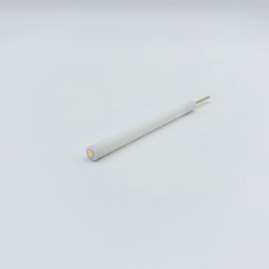 380-Gold-Disk-Electrode-Straight-Type-PTFE-Rod-01